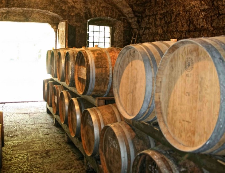 Kmetija Zgonik - degustacija vin v Vipavski dolini